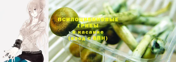 амф Дмитров