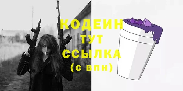 мдпв Дмитровск