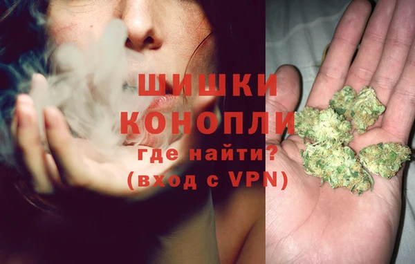 амф Дмитров