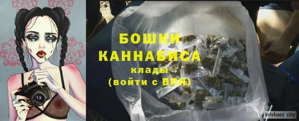 амф Дмитров