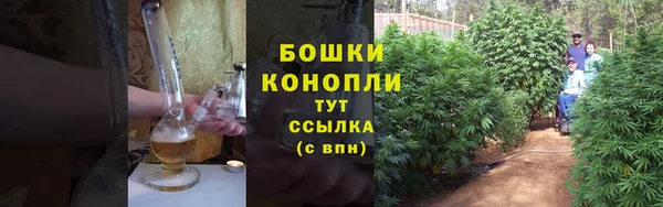 мдпв Дмитровск