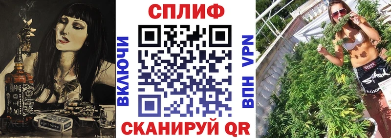 Марихуана конопля Зея